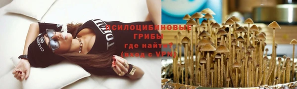 гидра Арсеньев