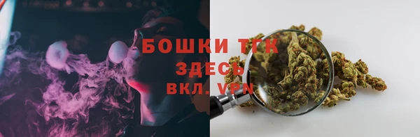 гидра Арсеньев
