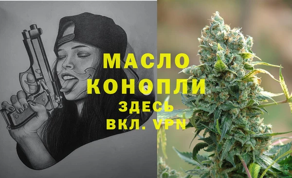 гидра Арсеньев