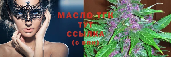 гидра Арсеньев
