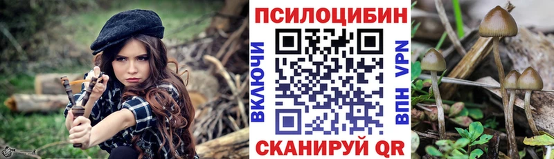 Псилоцибиновые грибы Magic Shrooms  Черногорск 
